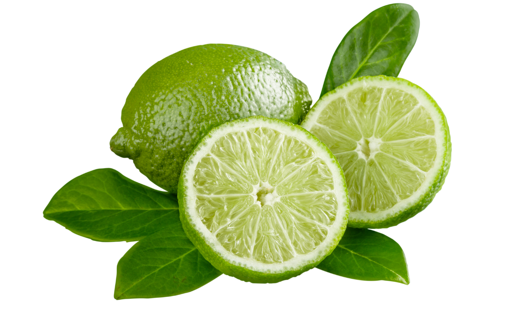 Dehydrated Italian Limes - 15 Slices