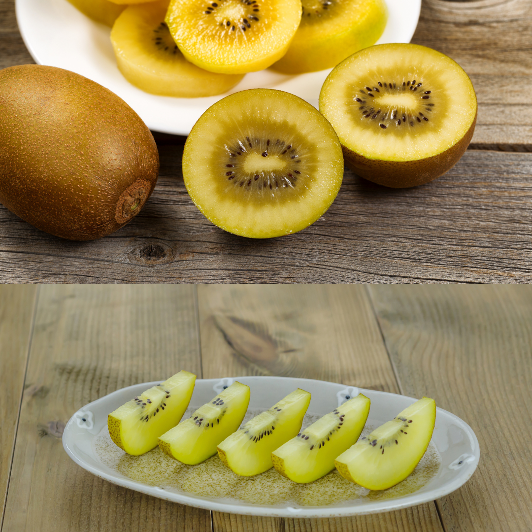 SunGold yellow kiwi seeds 25 pieces selected and untreated to sow