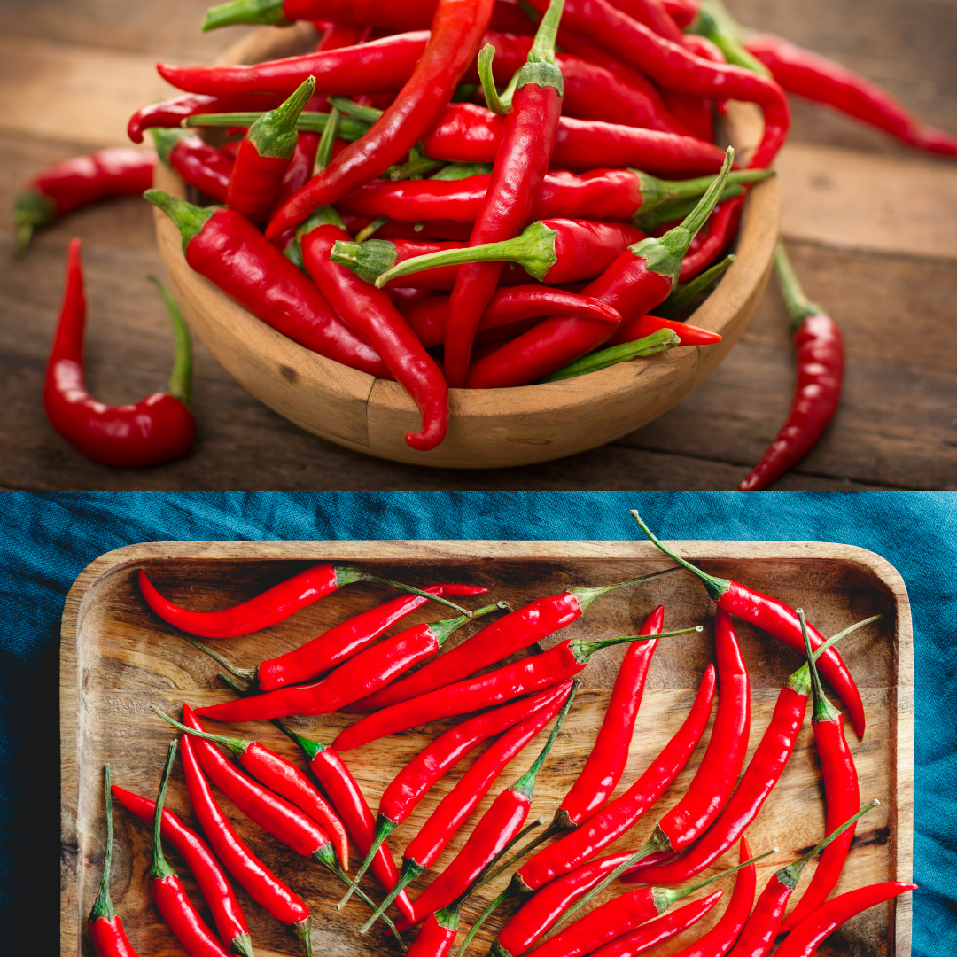 Red Thai Dragon chili seeds 20 pieces