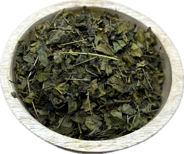 MORINGA herbal tea TREE OF LIFE